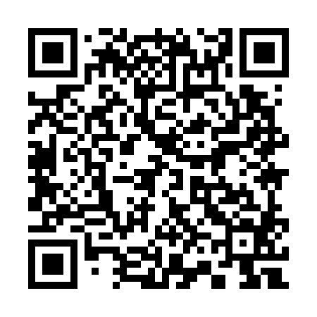 QR code for 369784