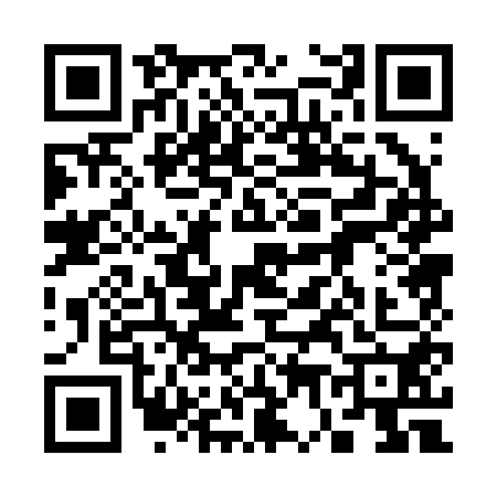 QR code for 3702502