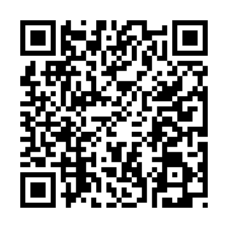 QR code for 3705065