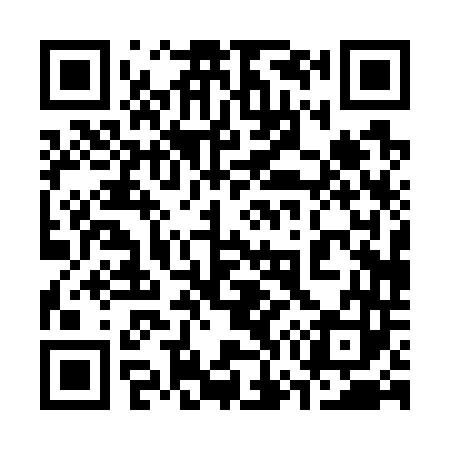 QR code for 370743
