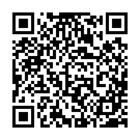 QR code for 370787