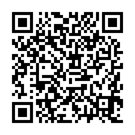 QR code for 370991