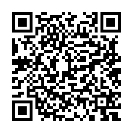 QR code for 3728244