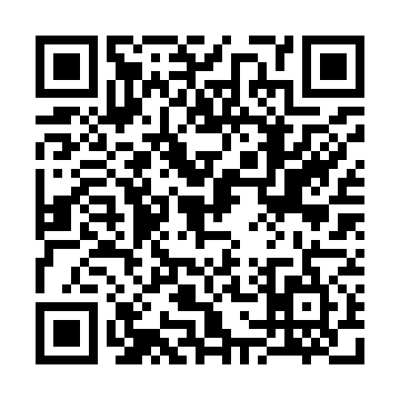 QR code for 3729753