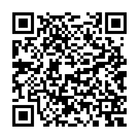 QR code for 3743239