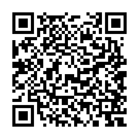 QR code for 3746425