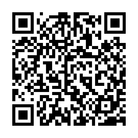 QR code for 375295