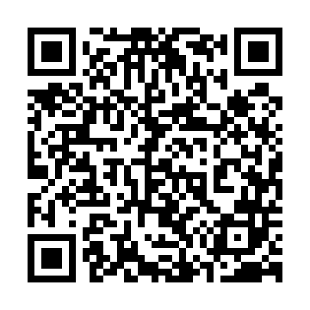 QR code for 375542
