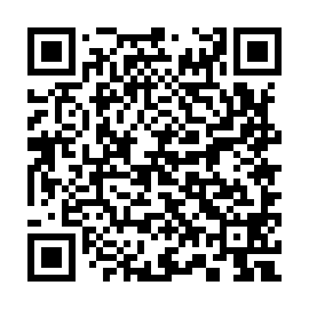 QR code for 375998