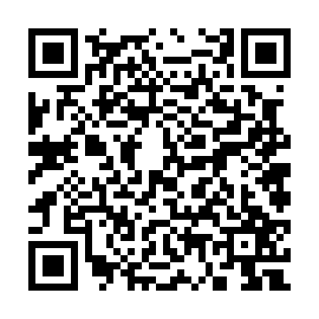 QR code for 3760271