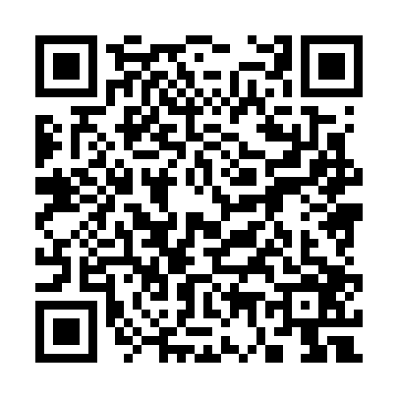 QR code for 3787065