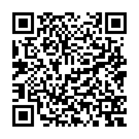 QR code for 3787365