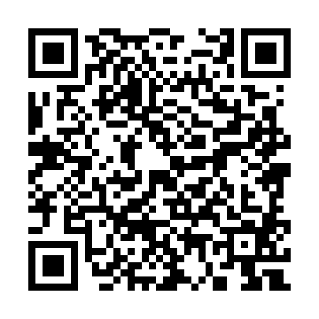 QR code for 3787841