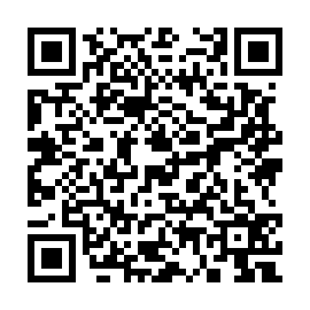 QR code for 3795367