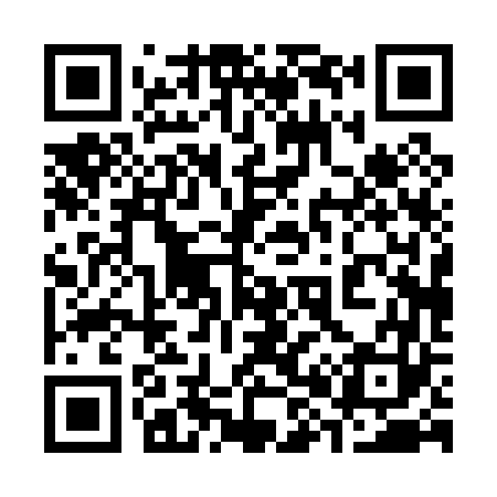 QR code for 380063