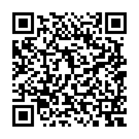 QR code for 3804924