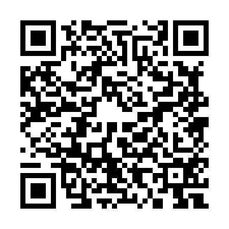 QR code for 3808543