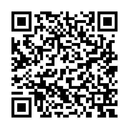 QR code for 3811625