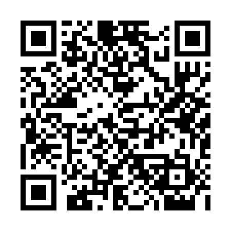 QR code for 381213