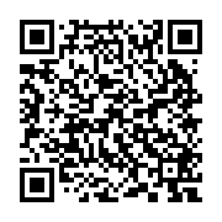 QR code for 381248
