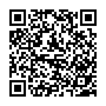 QR code for 38133