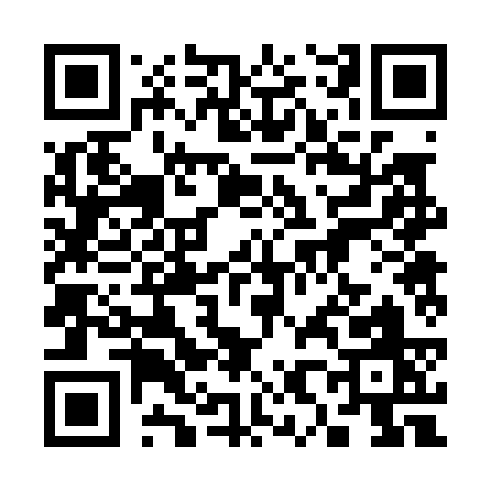 QR code for 38203