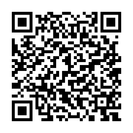 QR code for 3821543