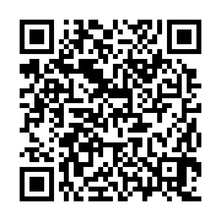 QR code for 382382