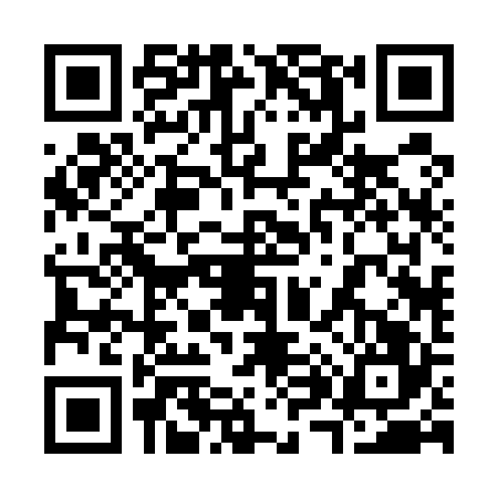 QR code for 3825263