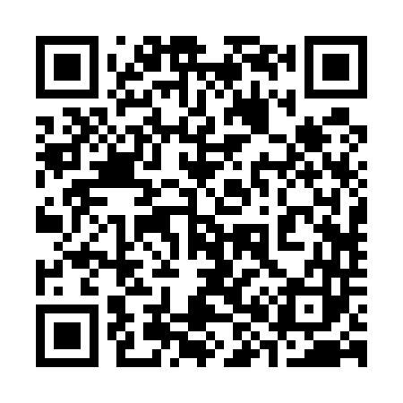 QR code for 382543