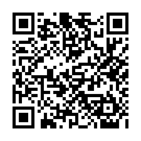 QR code for 382595