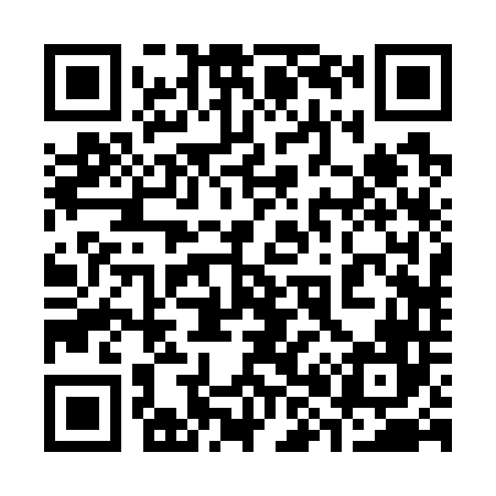 QR code for 382746