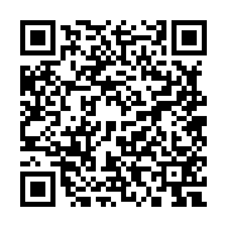 QR code for 3828536