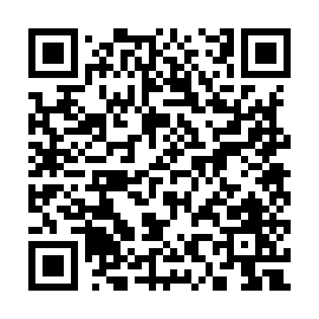 QR code for 38295