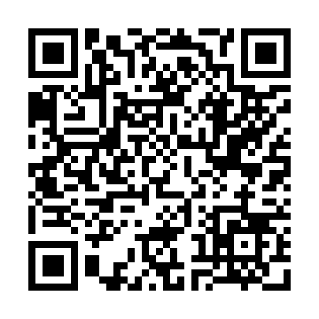 QR code for 38296