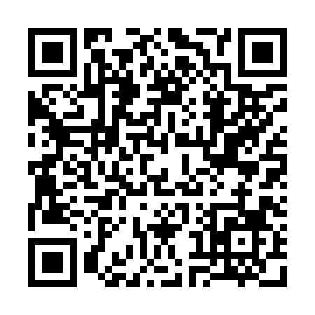 QR code for 38298
