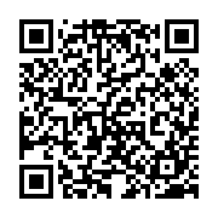 QR code for 383004