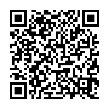 QR code for 383113