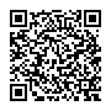 QR code for 3832119