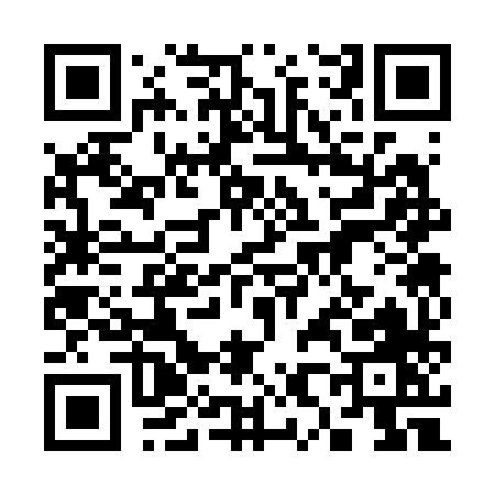 QR code for 38328