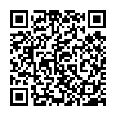 QR code for 383631