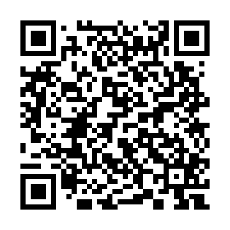 QR code for 383705