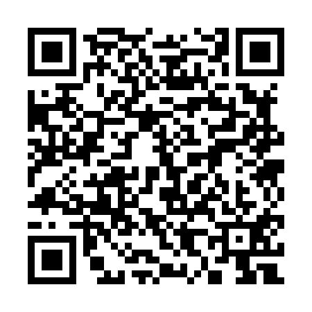 QR code for 3838113