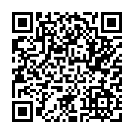 QR code for 38411