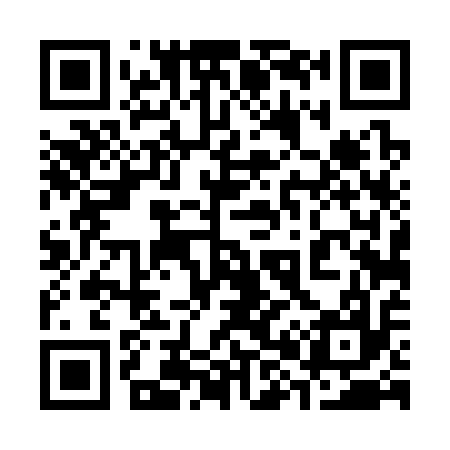 QR code for 384317