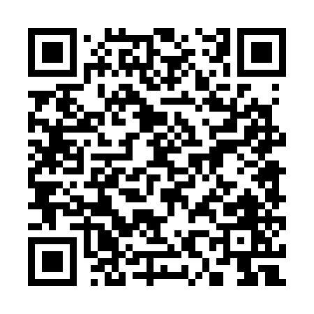 QR code for 38435