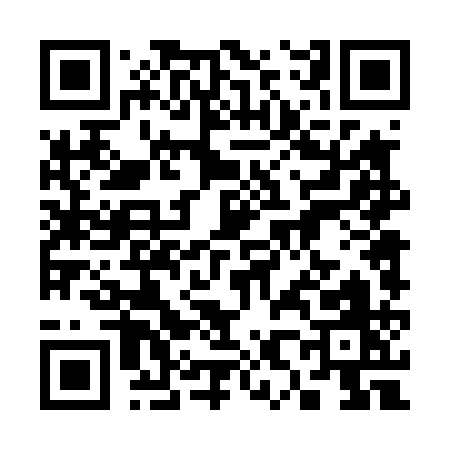 QR code for 38441