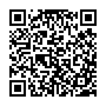 QR code for 384647