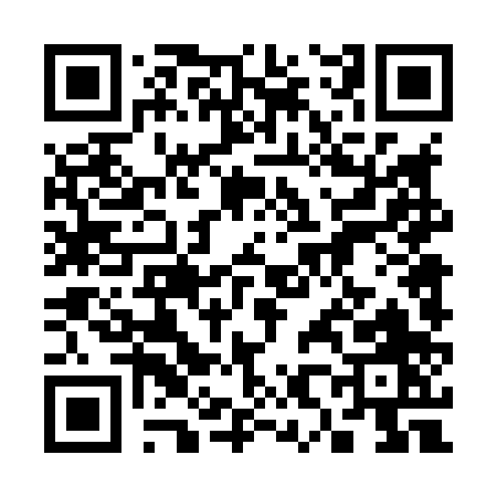QR code for 38480