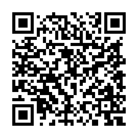 QR code for 38481
